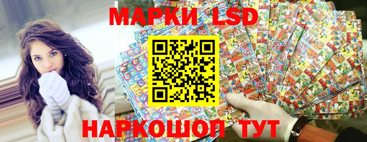 Наркотические марки 1500мкг  Вход с VPN  Наркотические марки  Бердск 