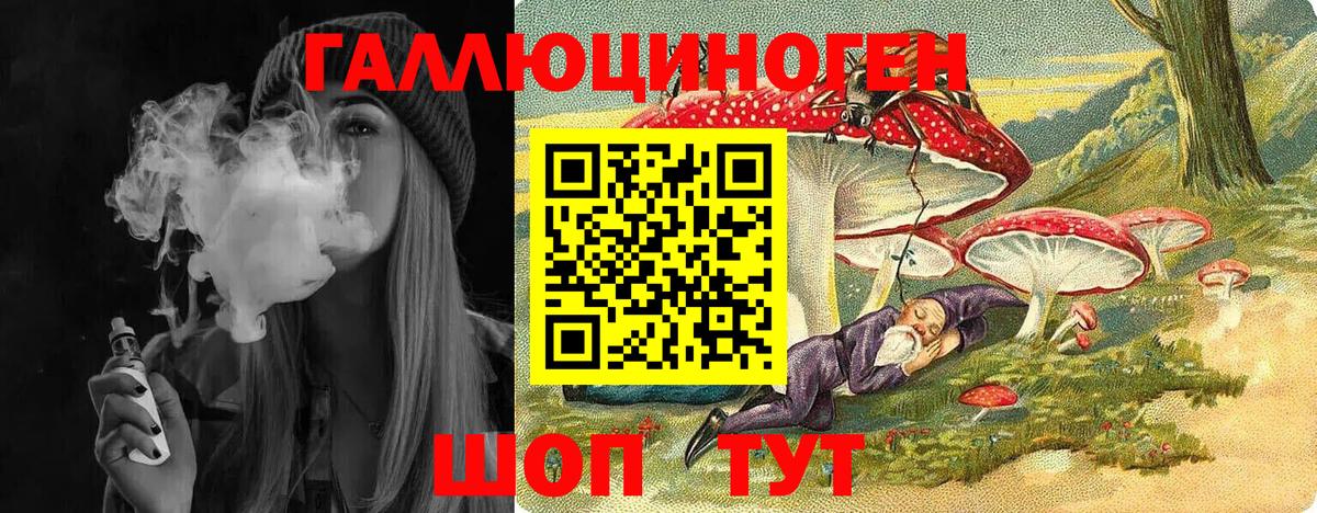 Бердск  Галлюциногенные грибы мицелий  Псилоцибиновые грибы Psilocybe  Вход с VPN 