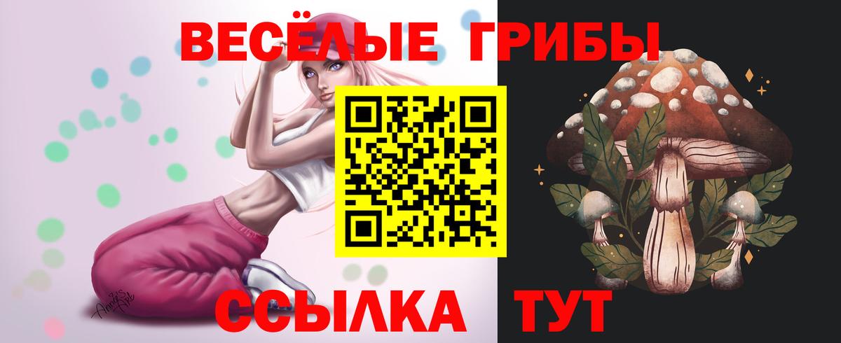 Галлюциногенные грибы Psilocybe Бердск